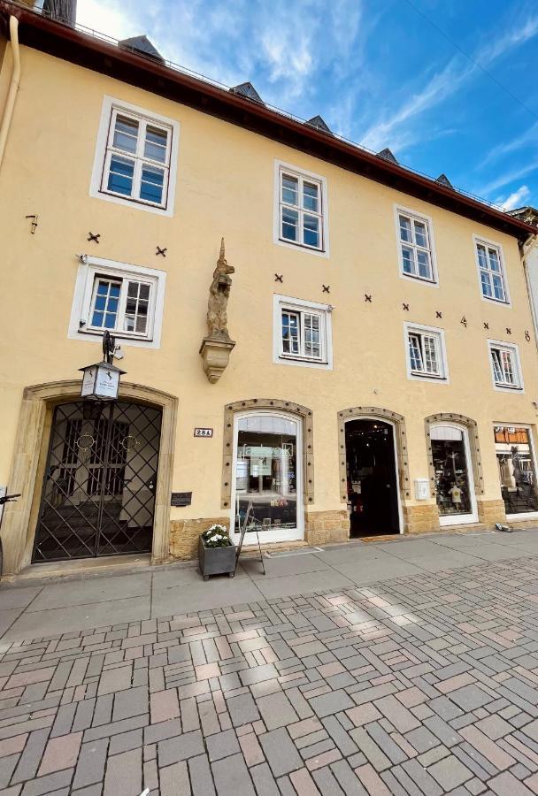 Villa Einhorn: Ruhe Oase Mitten Im Zentrum Гослар Екстер'єр фото