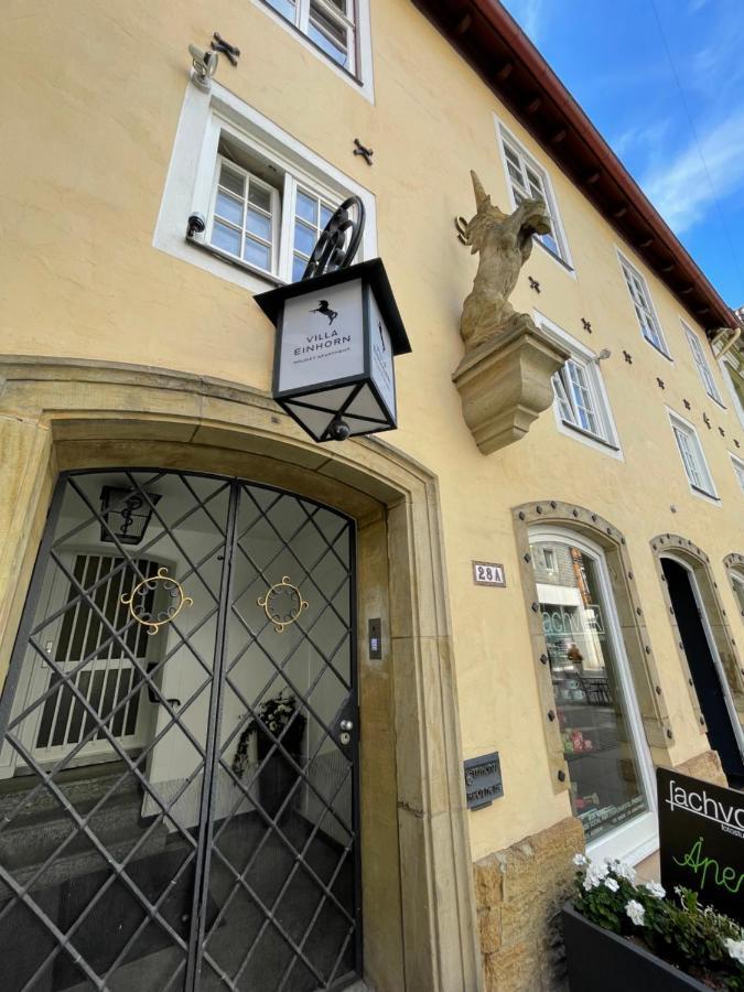 Villa Einhorn: Ruhe Oase Mitten Im Zentrum Гослар Екстер'єр фото